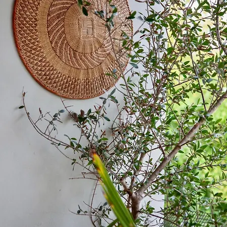 Hospital-elegant Flat With Terrace Vicenza