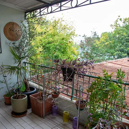 Hospital-elegant Flat With Terrace Βιτσέντζα